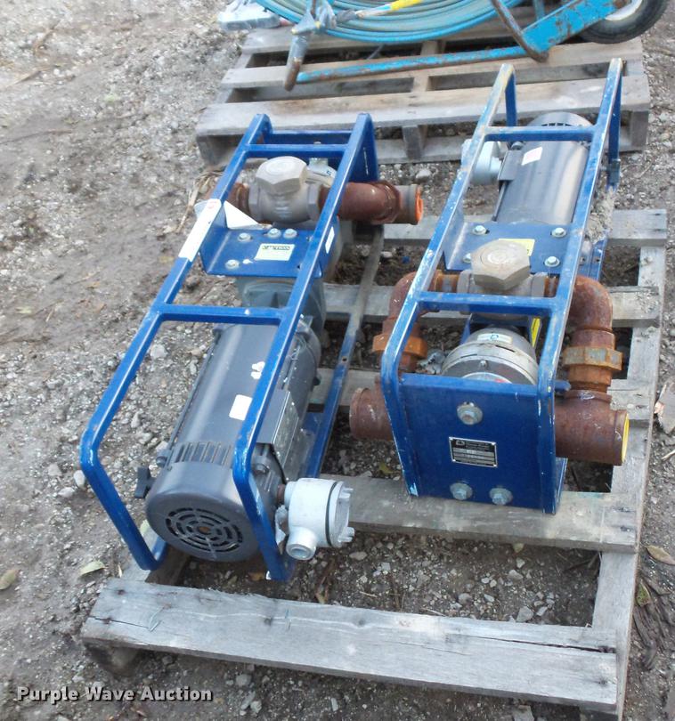 image for item EA9580 (2) Dismas 3101 transfer pumps