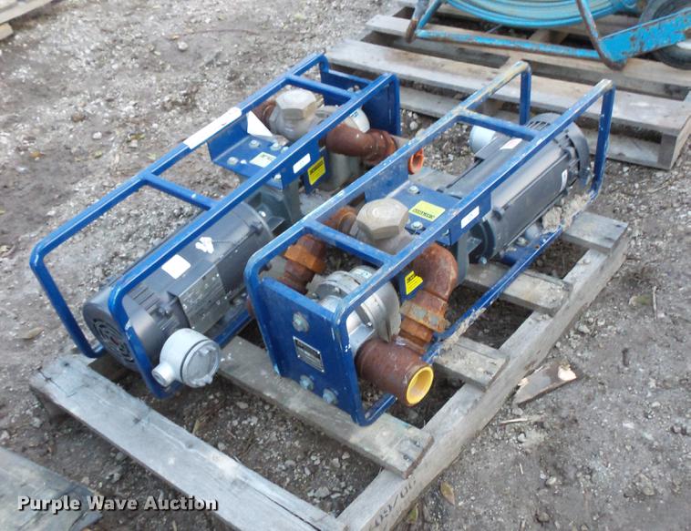 image for item EA9580 (2) Dismas 3101 transfer pumps