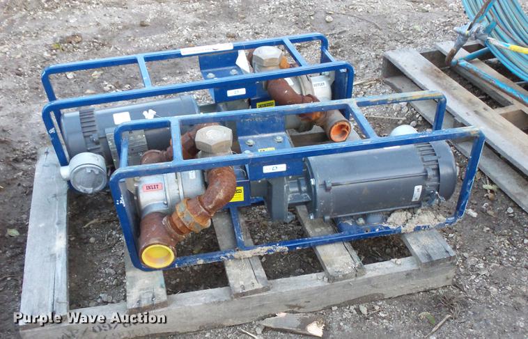 image for item EA9580 (2) Dismas 3101 transfer pumps