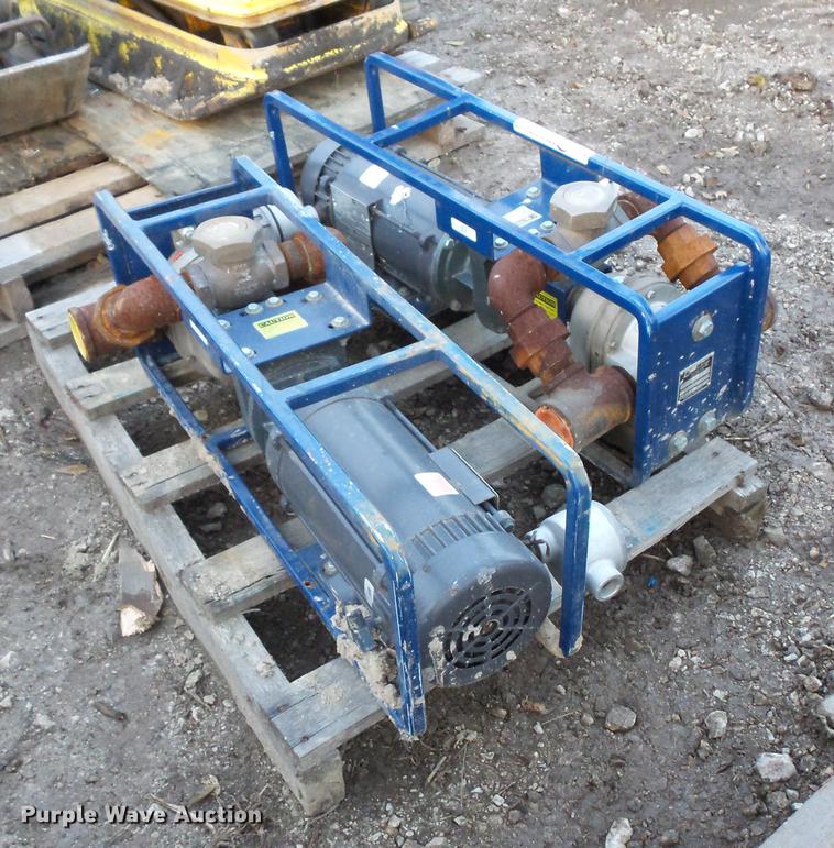 image for item EA9580 (2) Dismas 3101 transfer pumps