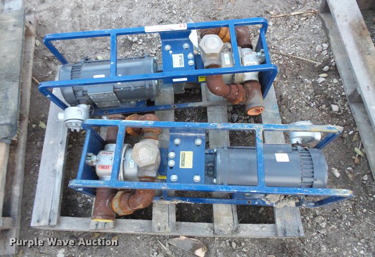 image for item EA9580 (2) Dismas 3101 transfer pumps