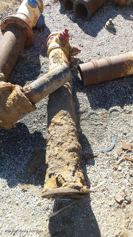 image for item DX9947 Approximately 45 fire hydrants