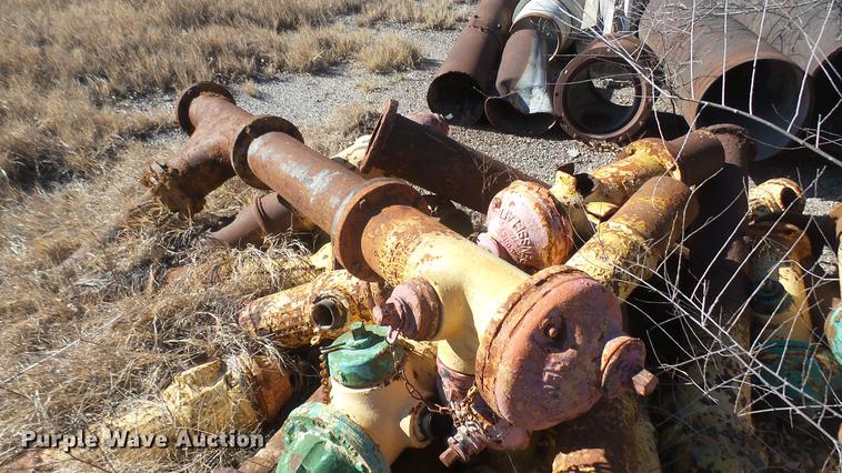 image for item DX9947 Approximately 45 fire hydrants