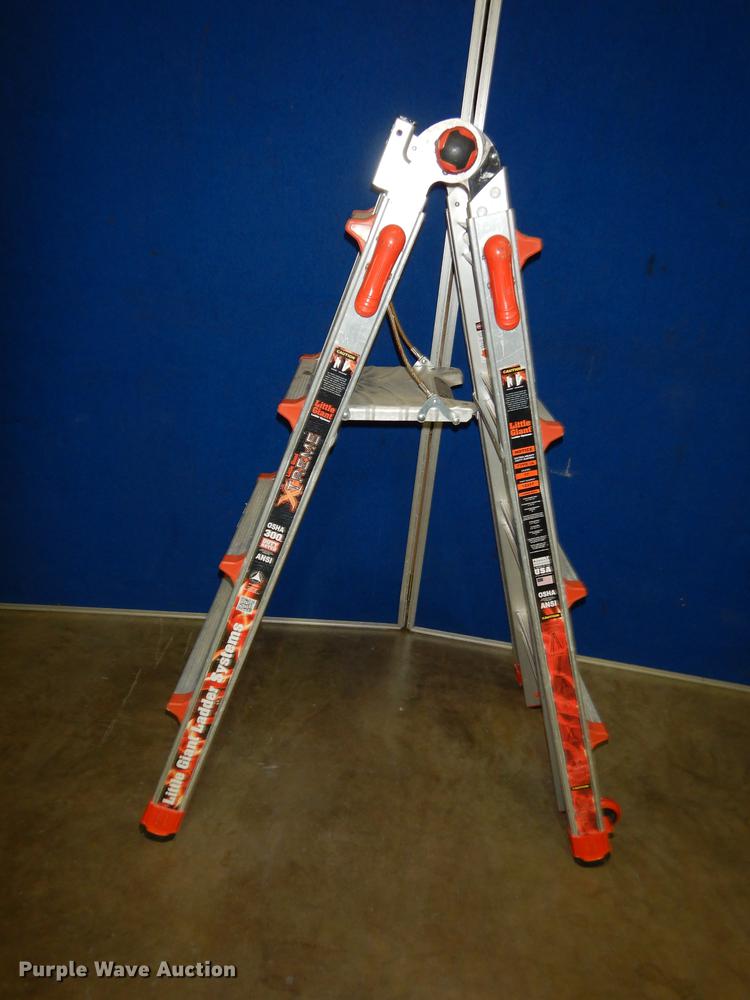 image for item EC9991 Little Giant 17 ladder