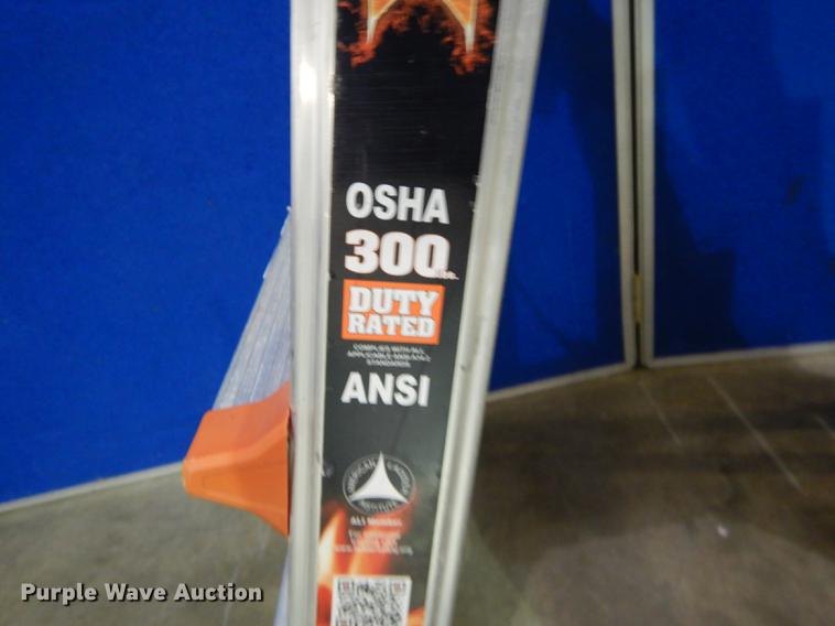 image for item EC9991 Little Giant 17 ladder