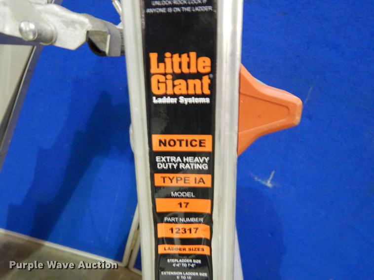 image for item EC9991 Little Giant 17 ladder
