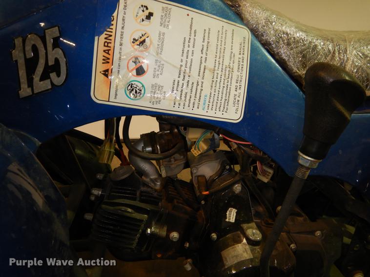 image for item EC9995 2013 Tao Tao ATA-125-A ATV