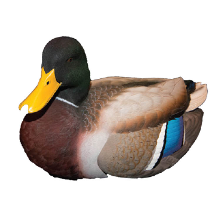 image for item DB9295 Duck Decoy