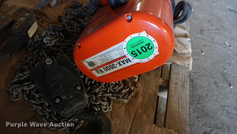 image for item DN9303 CM RT hoist