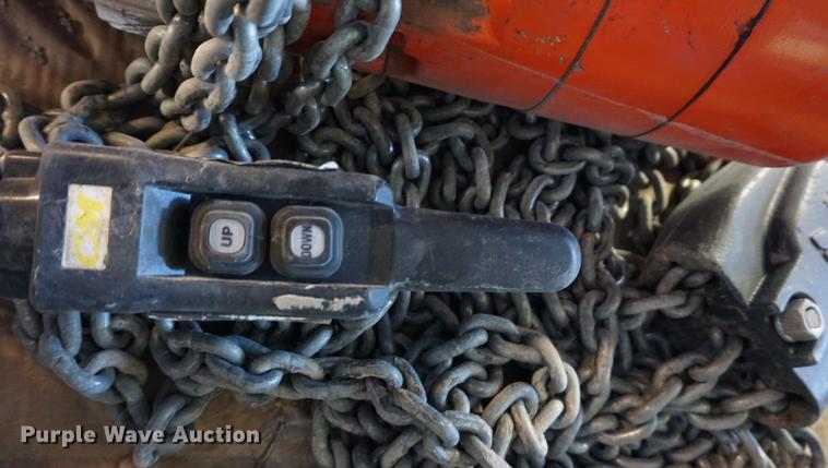 image for item DN9303 CM RT hoist