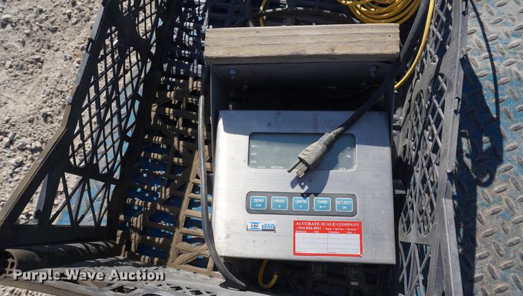 image for item DN9313 (2) platform scales