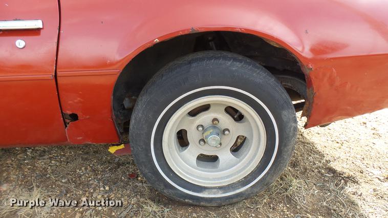 image for item DP9580 1976 Pontiac Trans Am