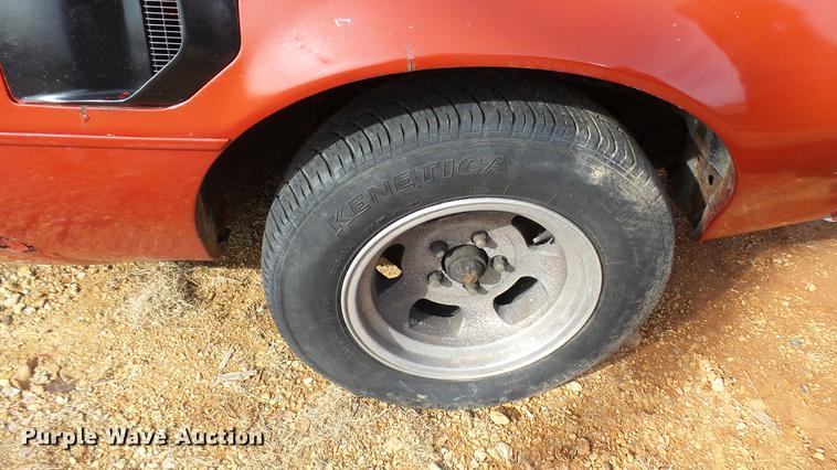 image for item DP9580 1976 Pontiac Trans Am