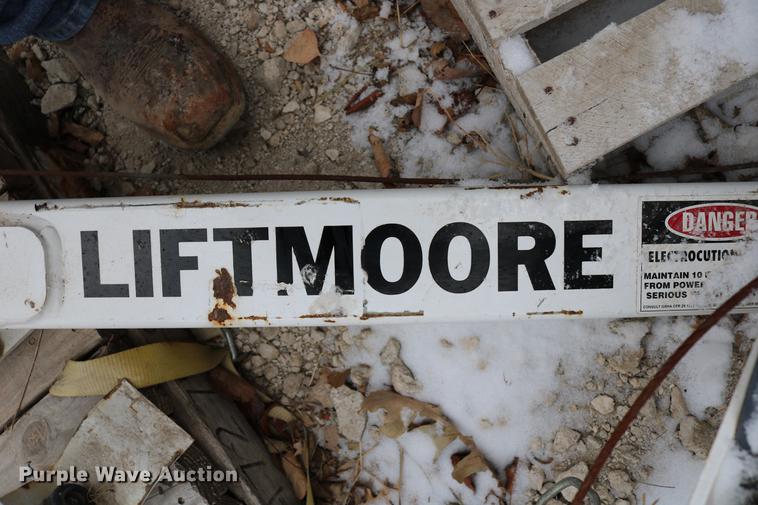 image for item EH9730 (2) Liftmore cranes