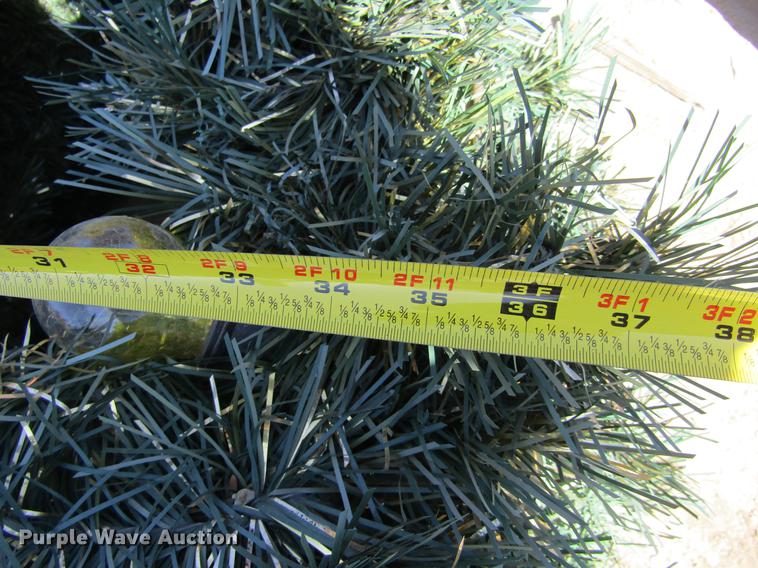 image for item BU9669 Approximately 98 Christmas decorations