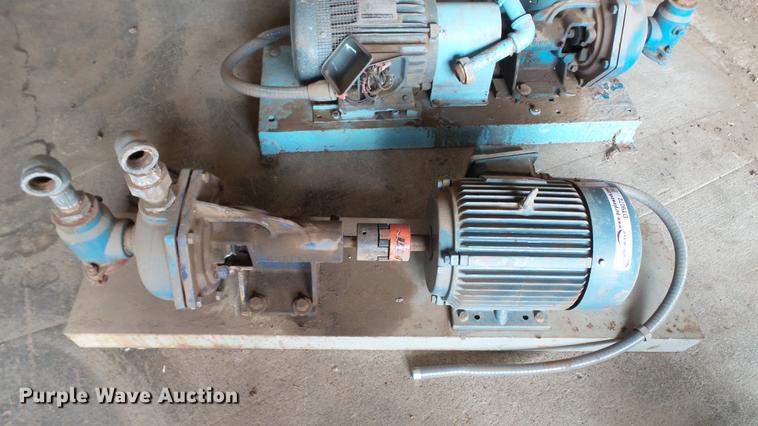 image for item DT9072 (3) chlorine pump assemblies