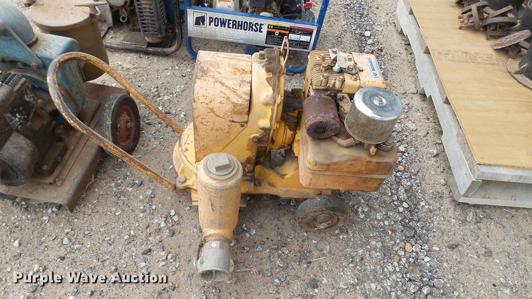 image for item DT9076 (4) trash pumps