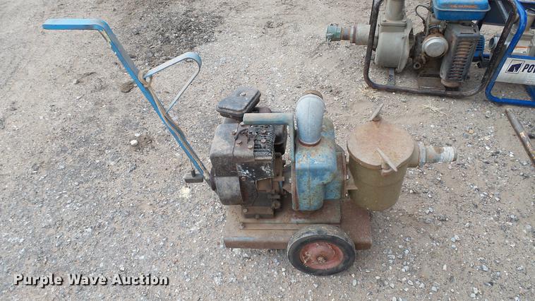 image for item DT9076 (4) trash pumps