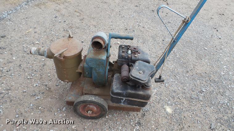 image for item DT9076 (4) trash pumps