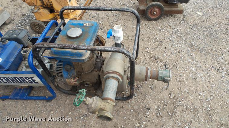 image for item DT9076 (4) trash pumps