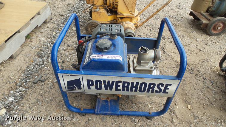 image for item DT9076 (4) trash pumps