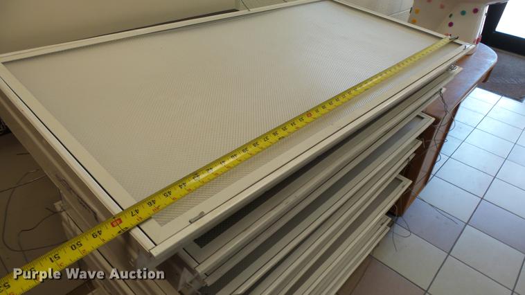 image for item EA9919 (10) ceiling lights