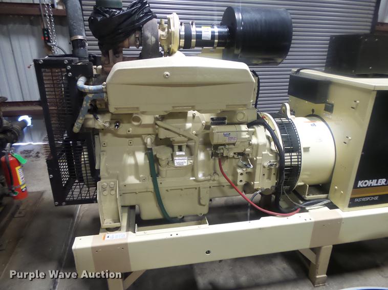 image for item DS9567 Kohler 150R02J Fast Response generator