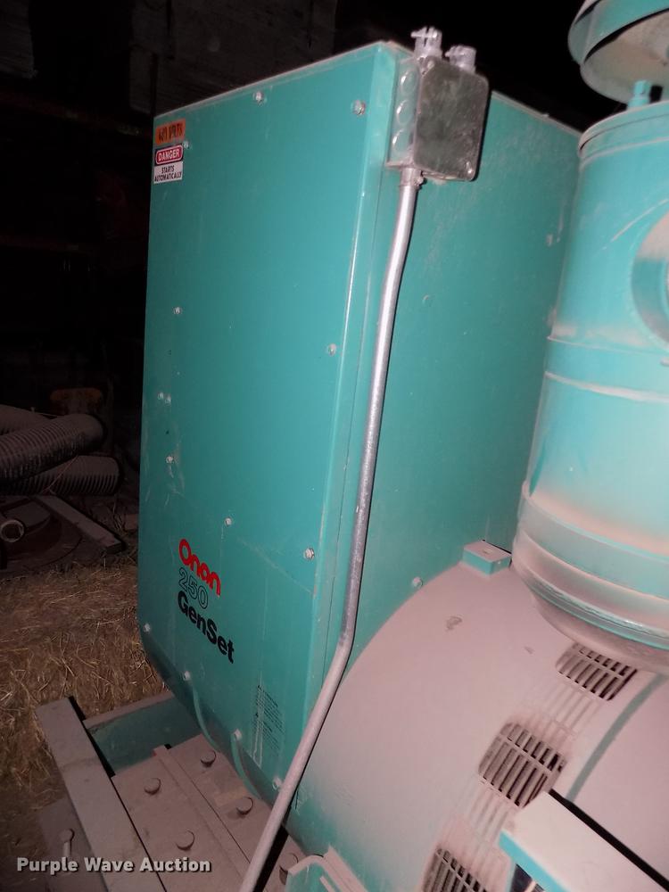 image for item DD2814 Onan 250ODFM-17R/27619N generator