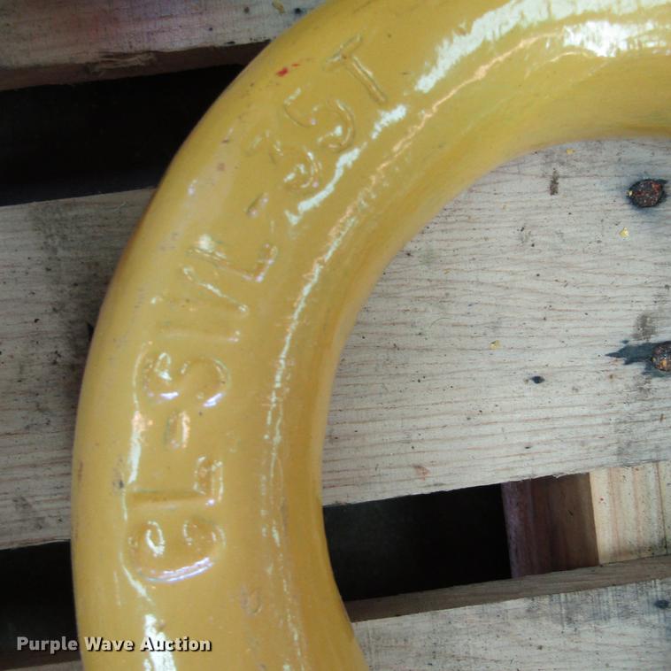 image for item EB9534 Screw pin shackles