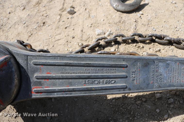 image for item EW9108 (16) hoists