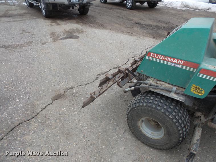 image for item DW9649 1999 Cushman Groom Master bunker rake