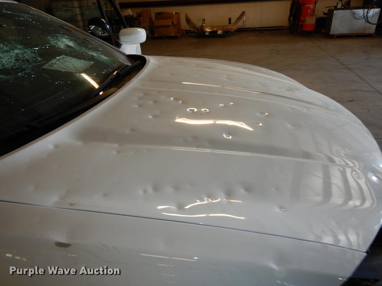 image for item DE1647 2016 Dodge Charger Police