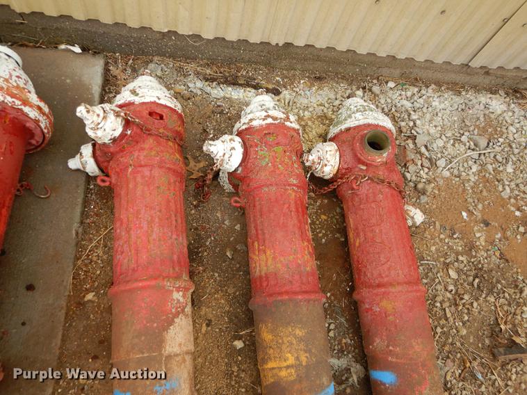 image for item EQ9867 (15) fire hydrants