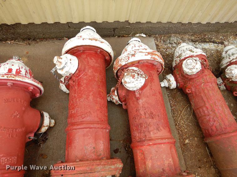 image for item EQ9867 (15) fire hydrants