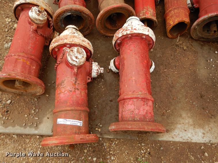 image for item EQ9867 (15) fire hydrants