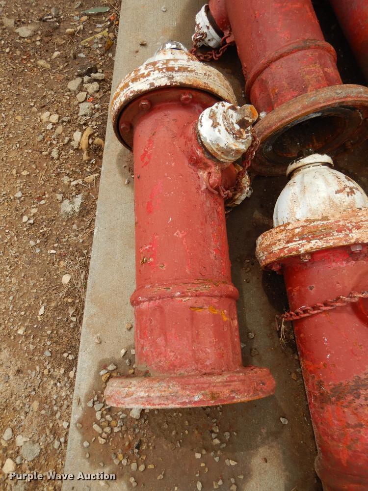 image for item EQ9867 (15) fire hydrants