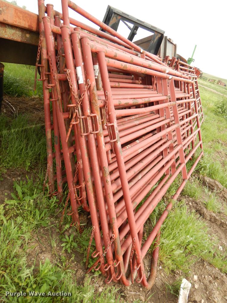 image for item EQ9880 (22) cattle panels
