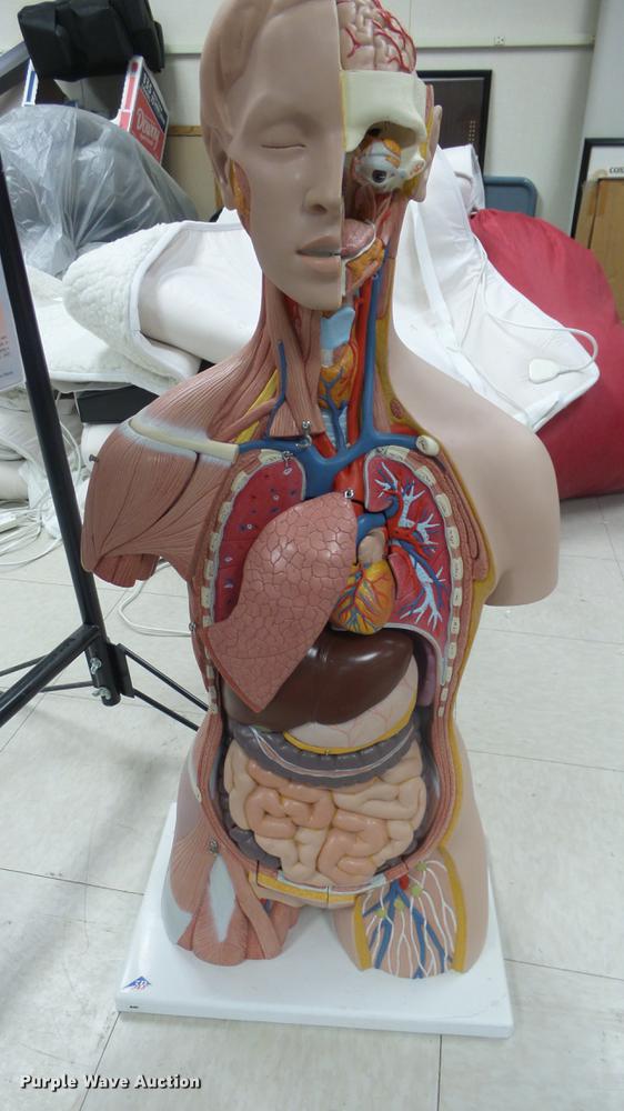 image for item EZ9462 Science classroom educational materials