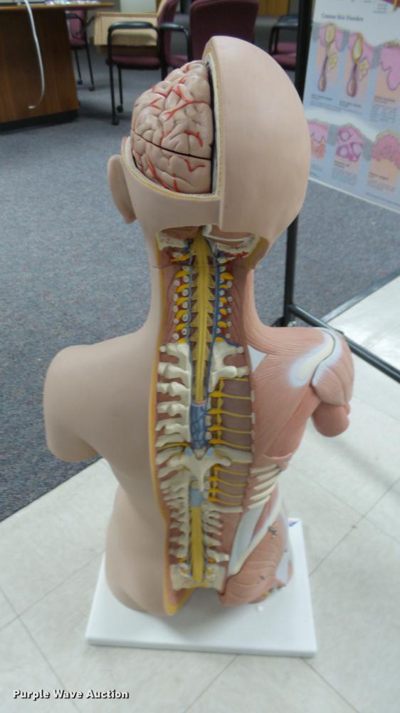 image for item EZ9462 Science classroom educational materials