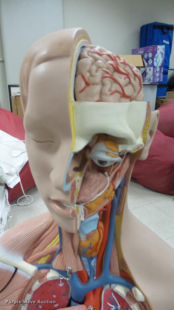 image for item EZ9462 Science classroom educational materials