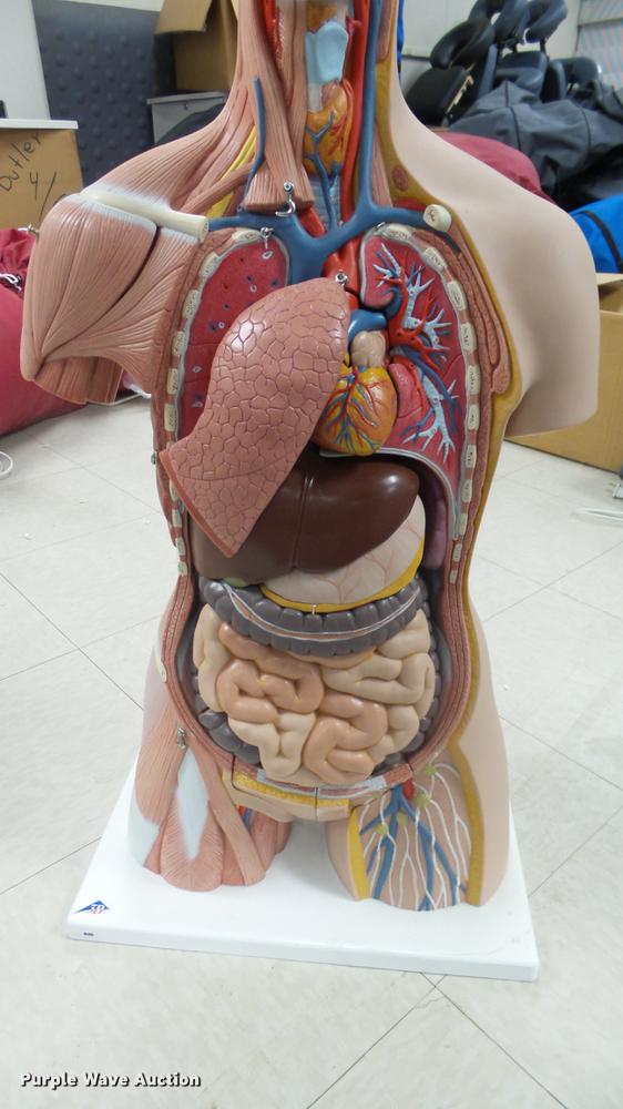 image for item EZ9462 Science classroom educational materials