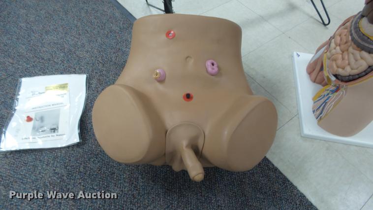 image for item EZ9462 Science classroom educational materials