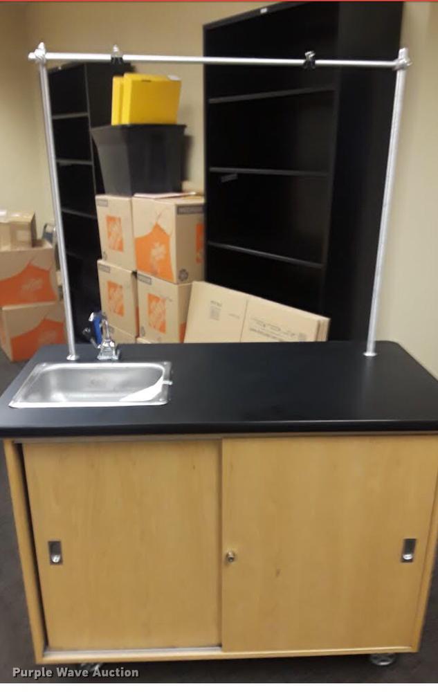 image for item G1199 Science cabinet