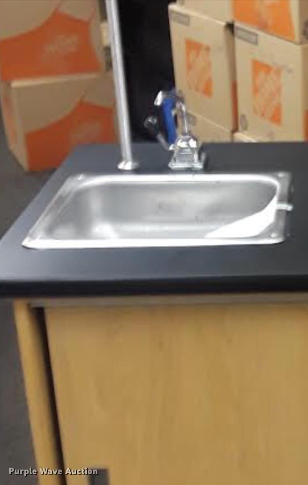 image for item G1199 Science cabinet