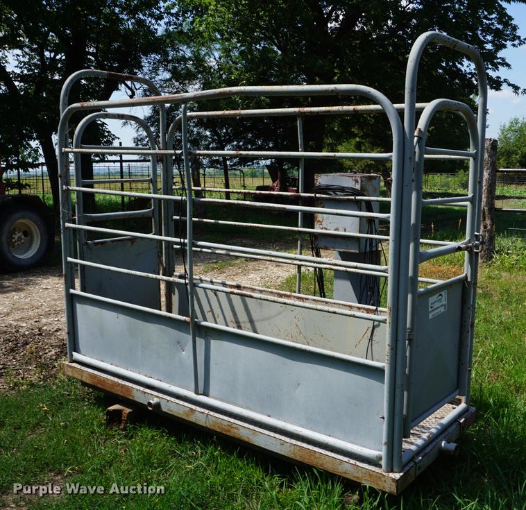 image for item DD7746 Livestock scale and platform