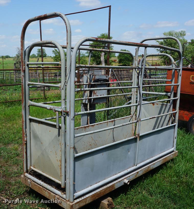 image for item DD7746 Livestock scale and platform