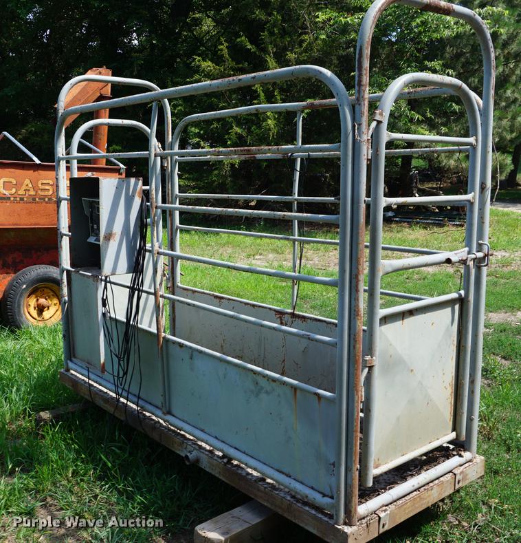 image for item DD7746 Livestock scale and platform