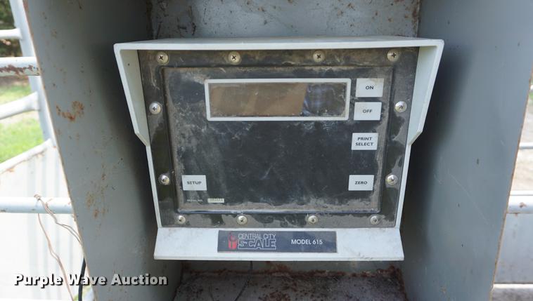 image for item DD7746 Livestock scale and platform