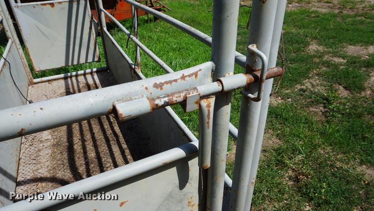 image for item DD7746 Livestock scale and platform