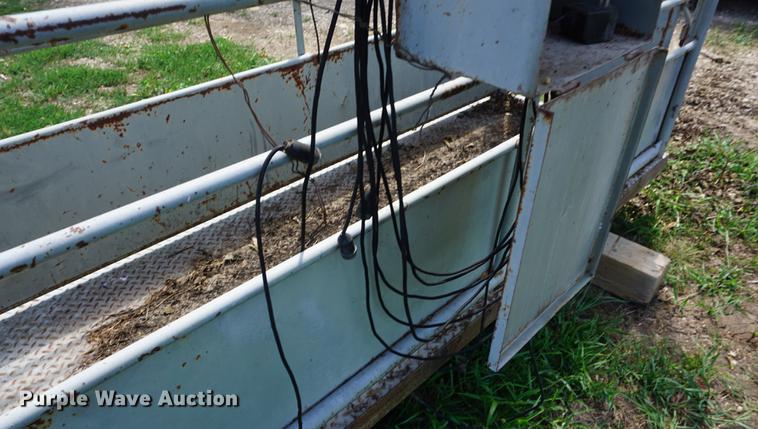 image for item DD7746 Livestock scale and platform